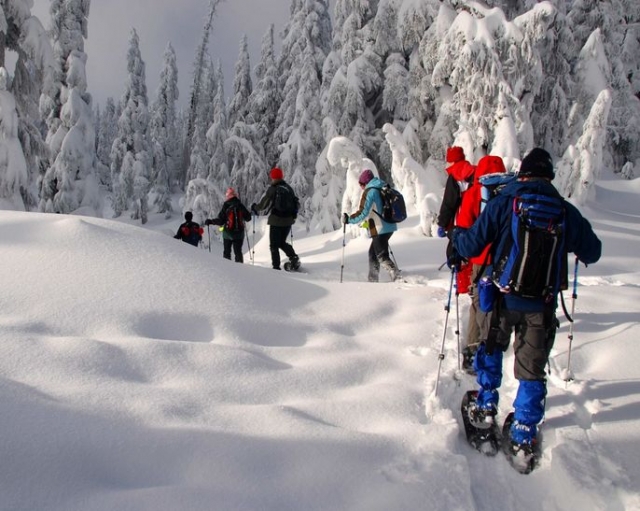  Evening snowshoe outing 